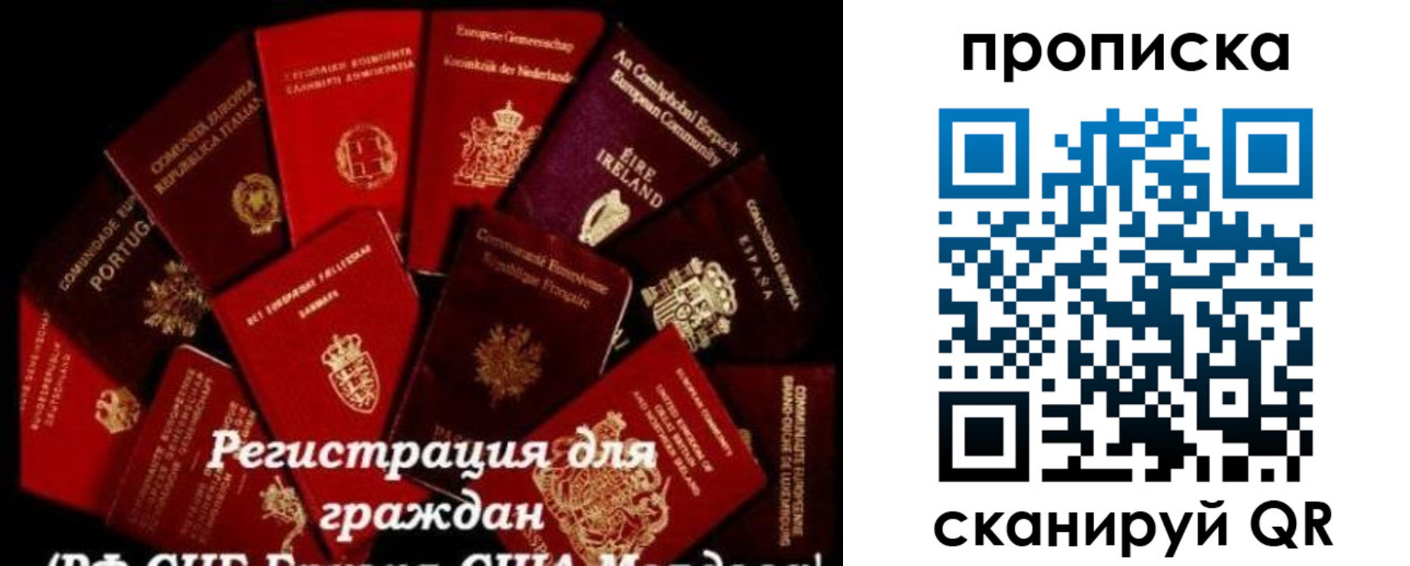 прописка в квартире в Заречном